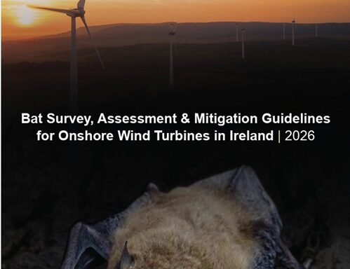 Bat Survey Guidelines for on-shore Windfarms