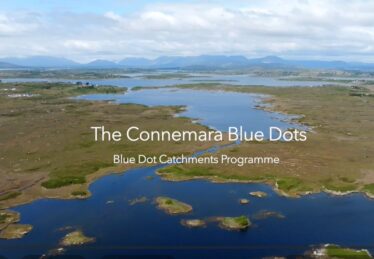 Wording 'Connemara Blue Dots' over a view of blue water and green land