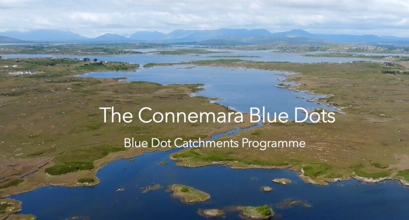 Connemara Blue Dots
