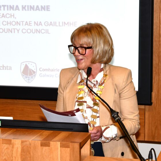 DSC_1849 Comhaoirleach Martina Kinane | Jacinta Fahy