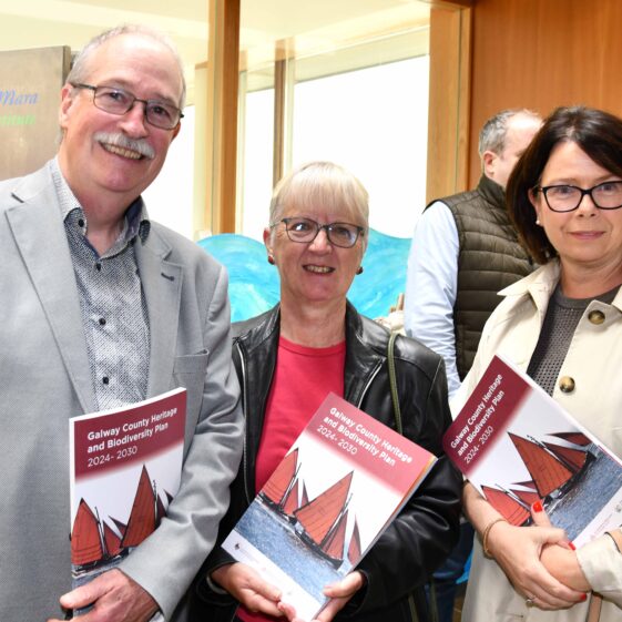 DSC_1859 Attendees at launch | Jacinta Fahy