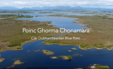 Poinc Ghorma Chonamara