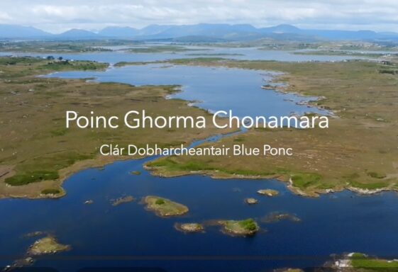 Poinc Ghorma Chonamara