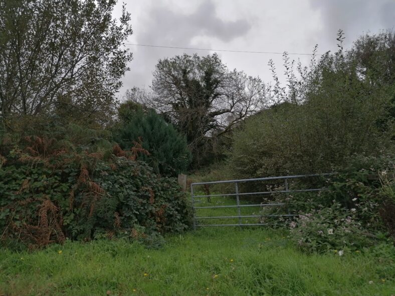 Carrick West | Tomas O Flatharta