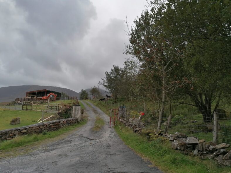 Cur | Tomas O Flatharta