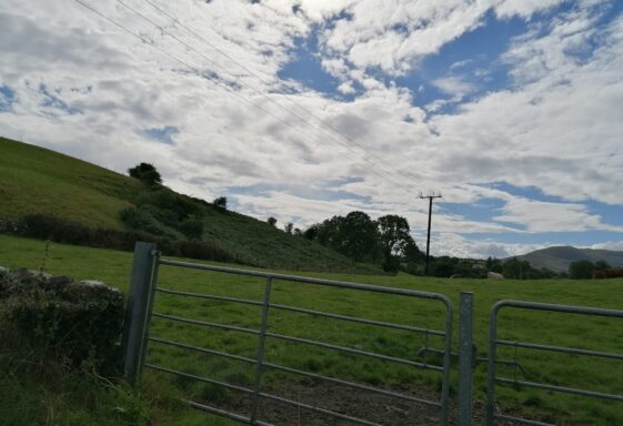 Rusheen East