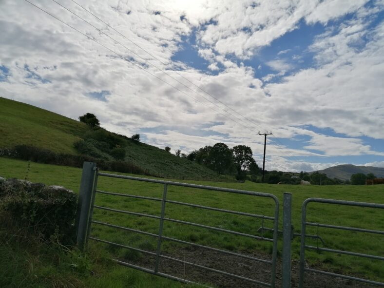 Rusheen East | Tomas O Flatharta