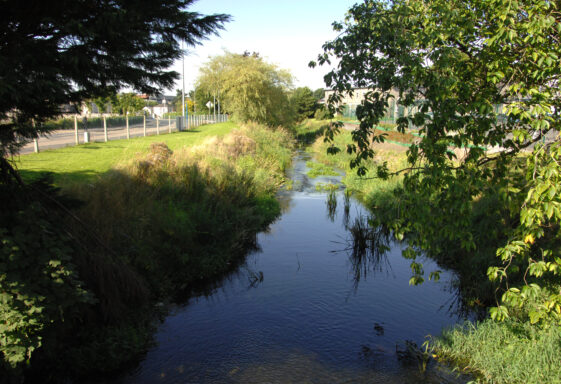 10. River walk to Bishop Street Bridge