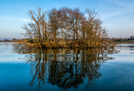 14. LOUGH REA