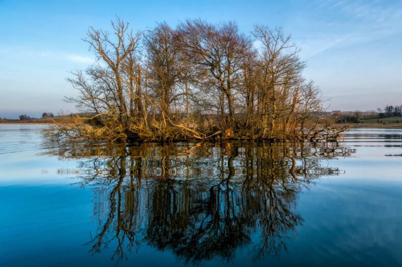 14. LOUGH REA