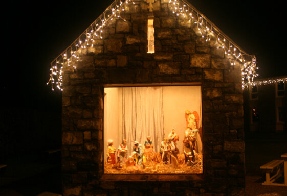 Moycullen Crib