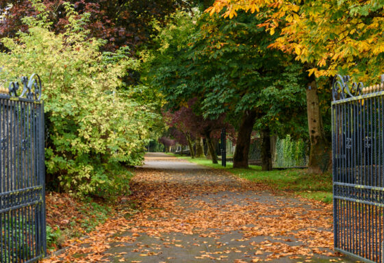 09. ‘THE WALKS’ AND THE MEDIEVAL MOAT
