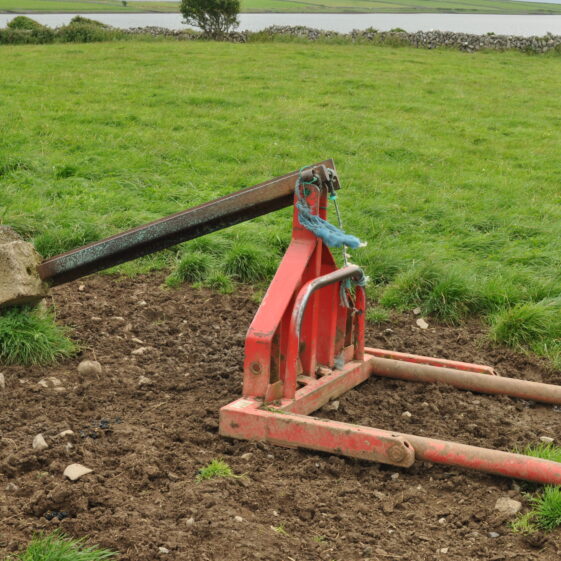 Púirins and Lachtáins