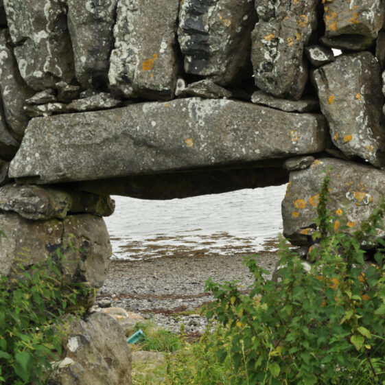 Púirins and Lachtáins