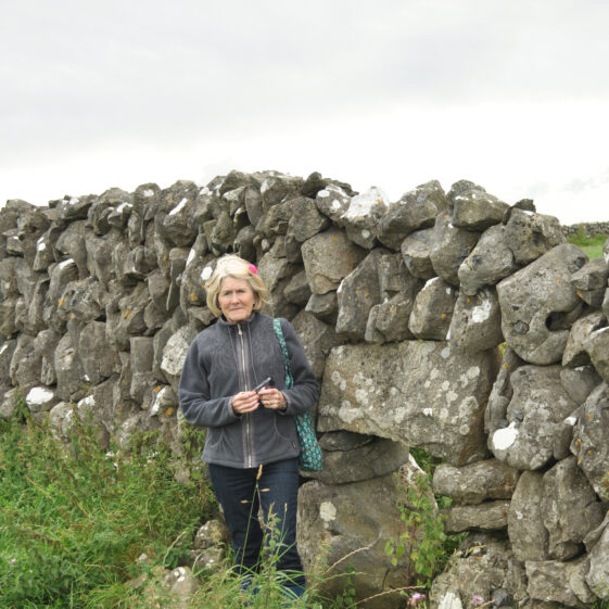 Púirins and Lachtáins
