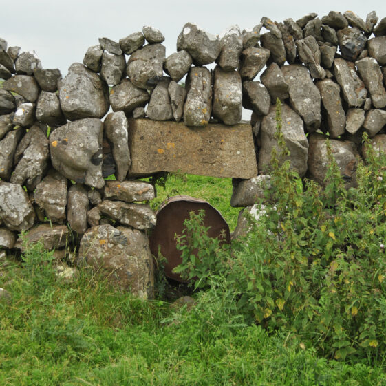 Púirins and Lachtáins