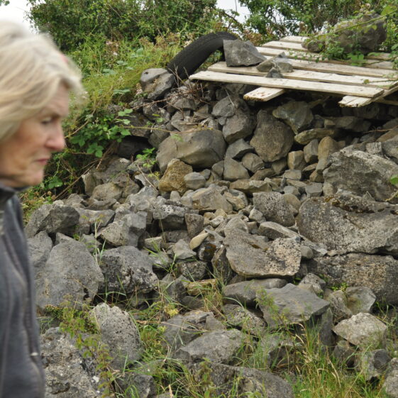 Púirins and Lachtáins