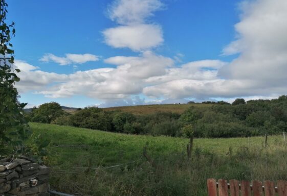 Rusheen (sic) West