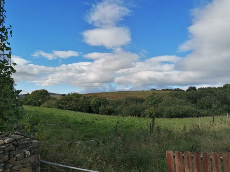 Rusheen (sic) West | Tomas O Flatharta