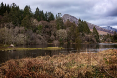 Killeen Lough, Ballynahinch | Roger Harrison