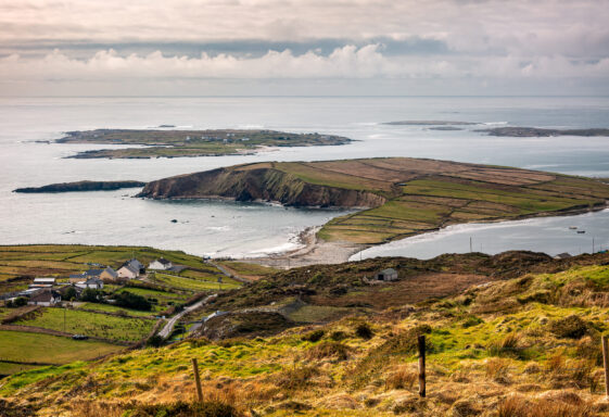 Turbot Island
