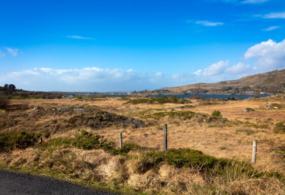 Lehanagh South