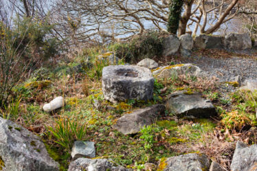 Old Baptismal Font | Roger Harrison