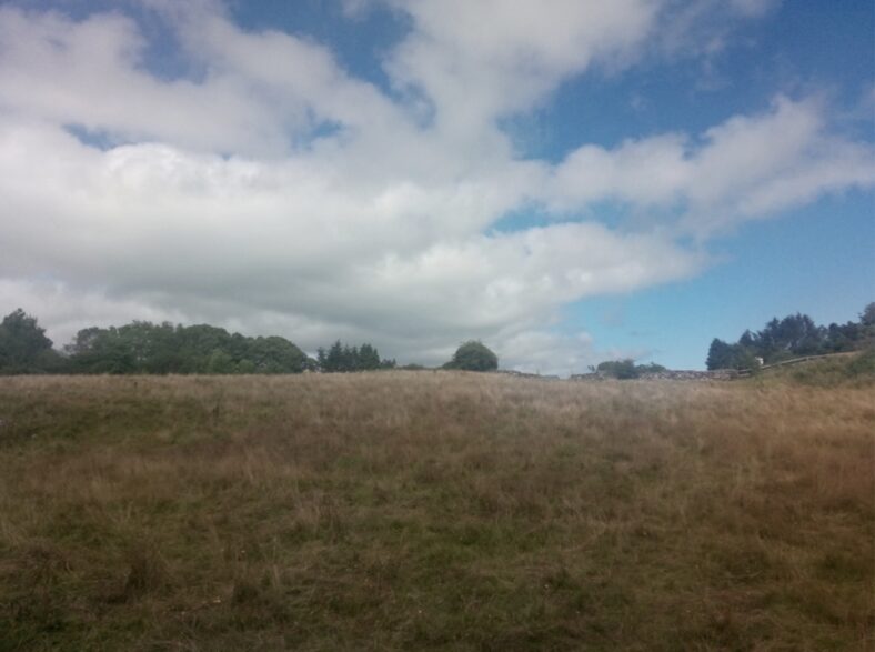 Ballymaglancy | Barbara Conroy