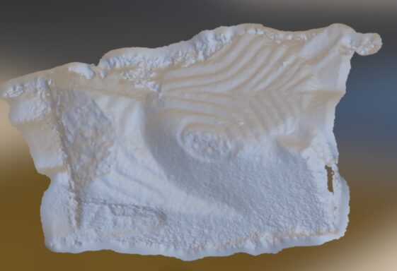 Carved Molding from Abbeyknockmoy