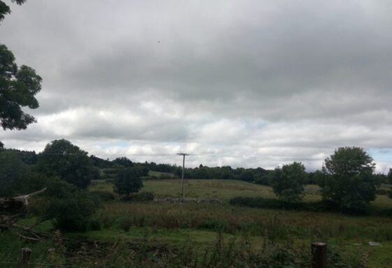 Toberbiroge