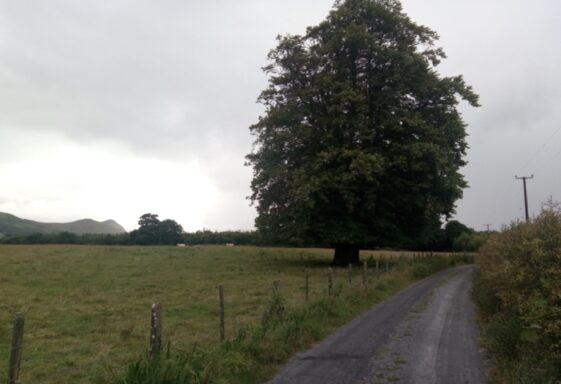 Kilbeg Lower
