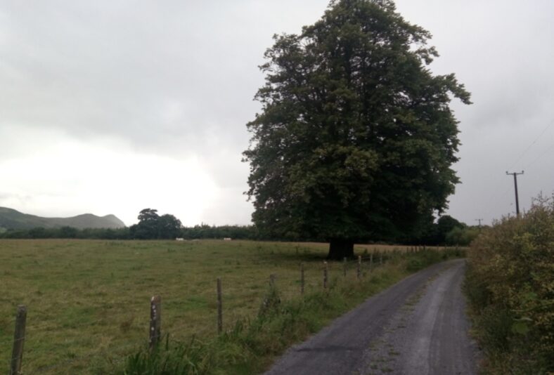 Kilbeg Lower | Tomas O Flatharta