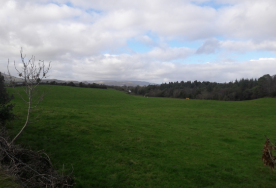 Ballynamona