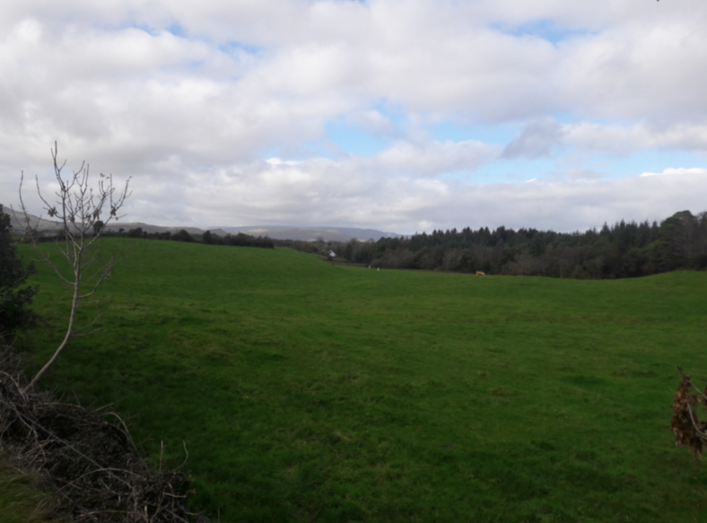 Ballynamona | Tomas O Flatharta