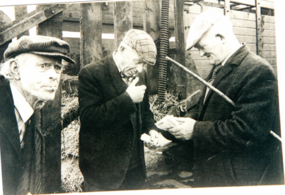 Photograph