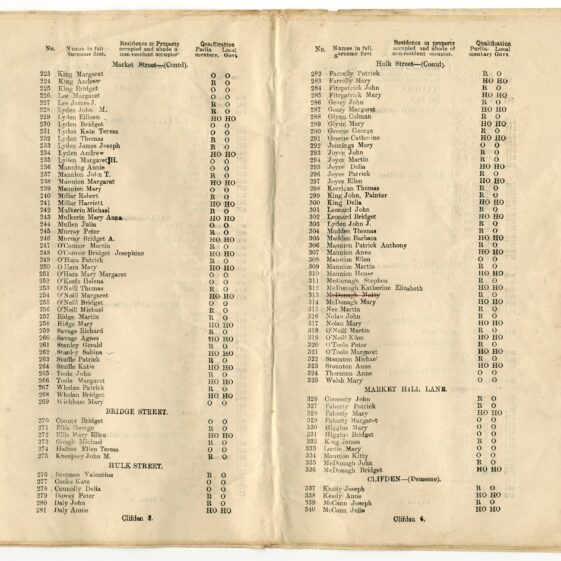 The 1918 Register of Electors for the Unit of Clifden and the Unit of Derrylea