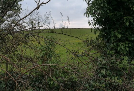Ballykine Upper