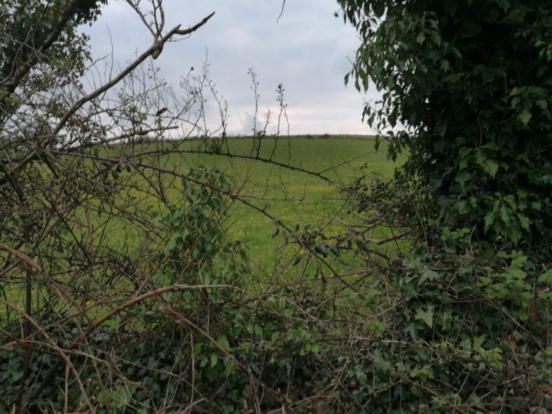 Ballykine Upper | Tomas O Flatharta