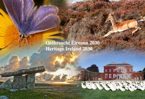 Heritage Ireland 2030