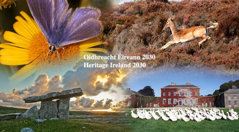 Heritage Ireland 2030