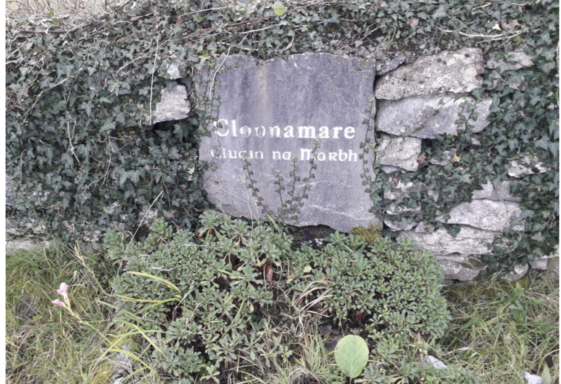 Cloonamarve