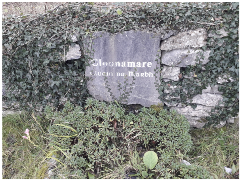 Cloonamarve | Tomas O Flatharta
