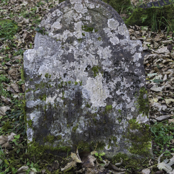 SMC-10B Grave 10 - Coneys | Roger Harrison