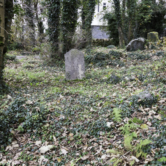 SMCC-13A Grave 13 - Lee | Roger Harrison