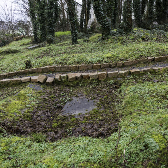SMCC-14A Grave 14 - Connolly | Roger Harrison