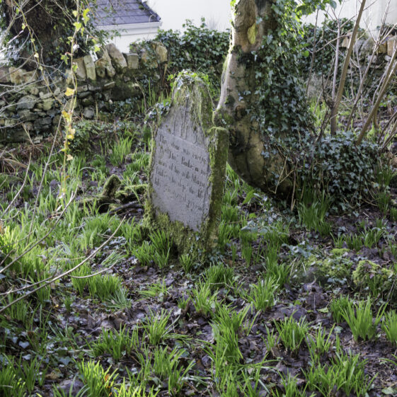 SMCC-19A Grave 19 - Burke | Roger Harrison
