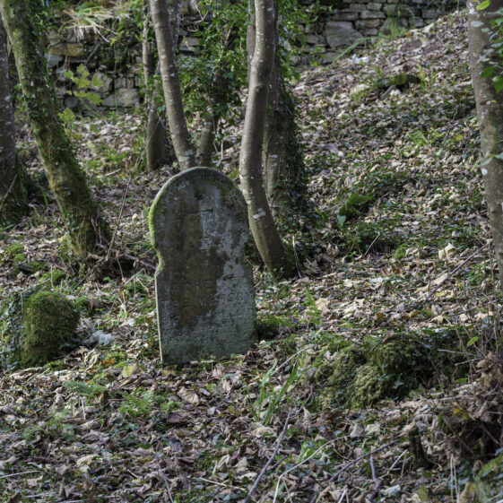 SMCC-1A Grave 1 - Mullin | Roger Harrison