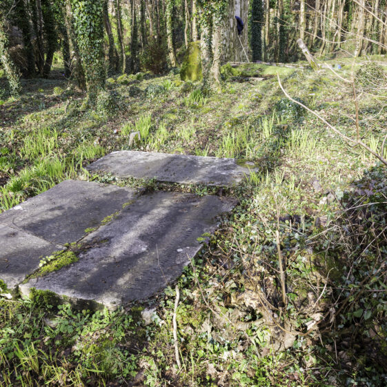 SMCC-21A Grave 21 - McGuinness | Roger Harrison