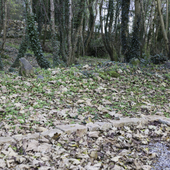 SMCC-3A Grave 3 - Unknown | Roger Harrison