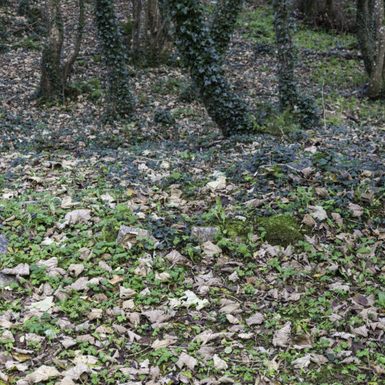 SMCC-3B Grave 3 - Unknown | Roger Harrison
